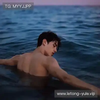 蓬盈晓